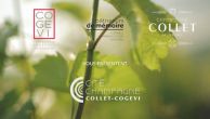 Capture vidéo Création de la Cité du Champagne Collet-Cogevi